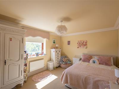 Picture 13